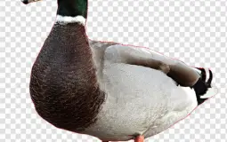 Tier list Hunter